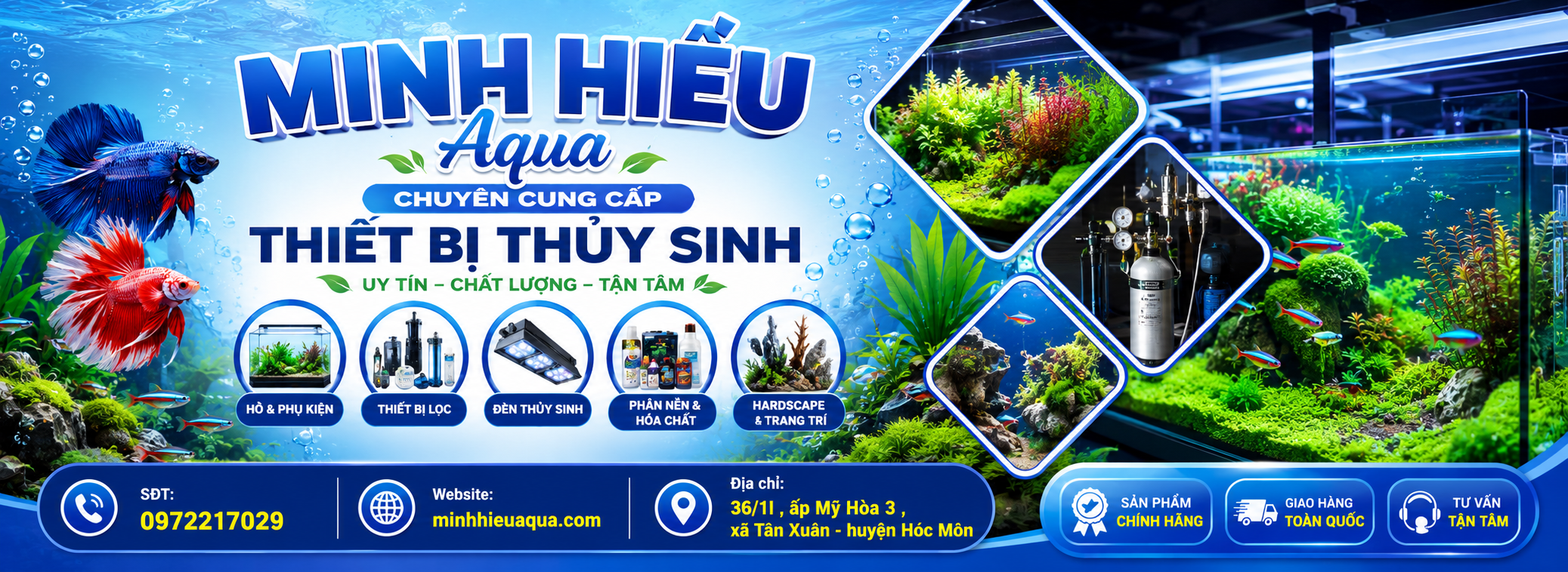 setup hồ thủy sinh trọn gói